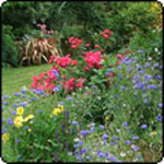  Gardening Articles from 2010 