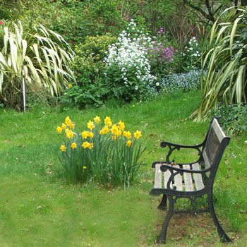  The garden bench in the Pond Paddock. 