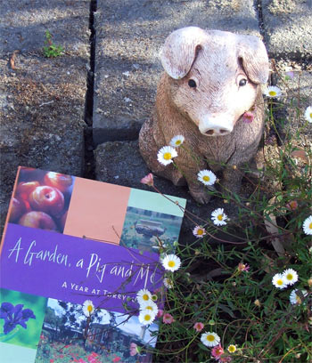  A lovely tale by Jenny Ferguson about her garden at Torryburn, Australia. 