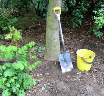  My faithful shovel! My favourite plastic bucket! 