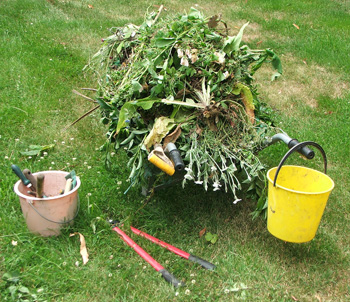  Including filling up the wheelbarrow with large amounts of rubbish... 