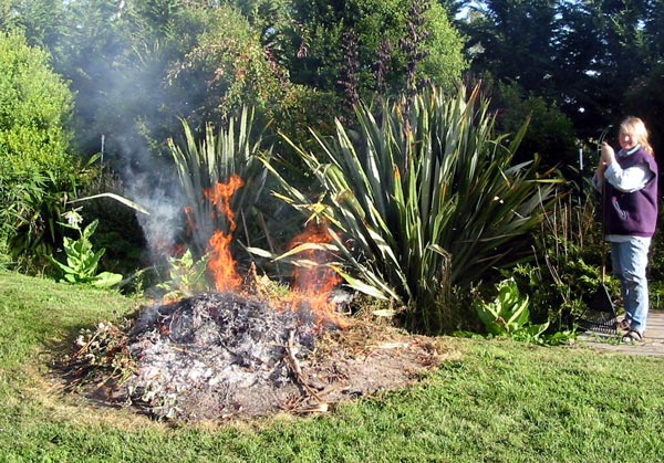  A typical garden rubbish fire. 