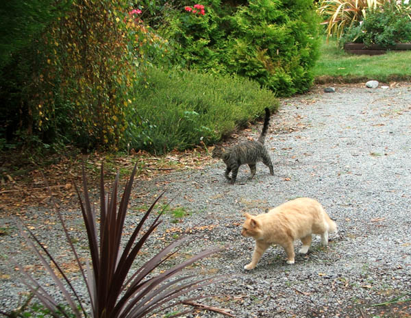  Hey - come back - I was talking to you two! 