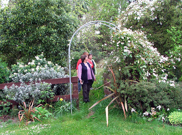  I would rather the roses planted here some years ago covered this archway. 