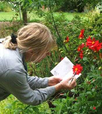  The Head Gardener busy  at it again. 