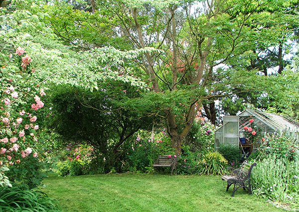  Surrounded by leafy trees and roses. 