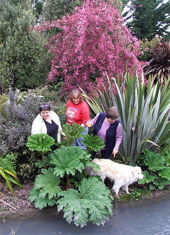  These intrepid garden visitors weren't backward in coming forward! 