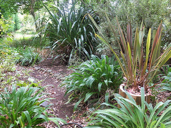  Shrubby and spiky. 