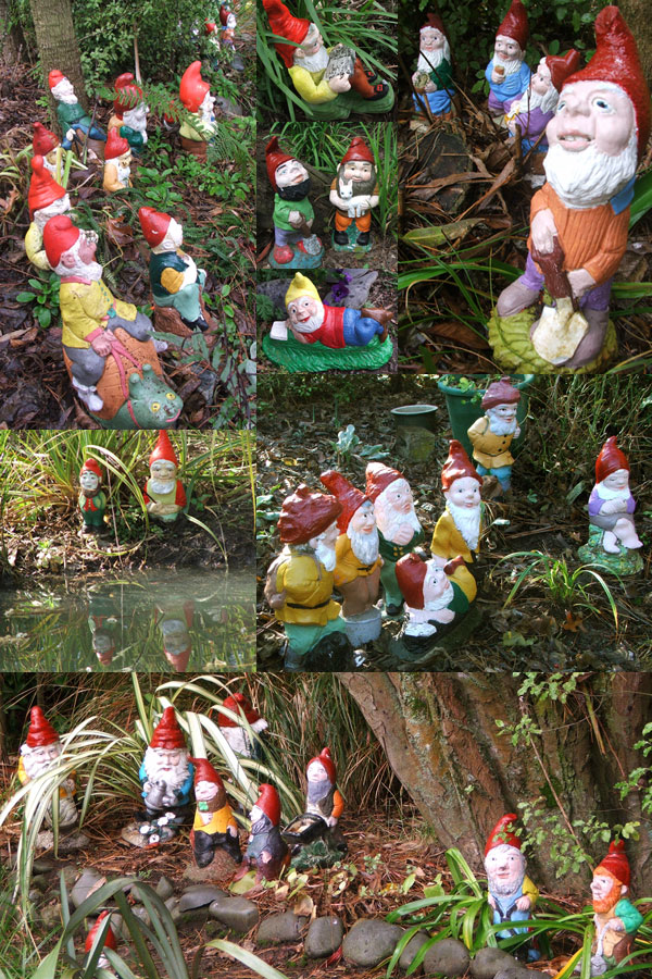 regarding garden gnomes