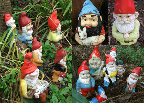  These gnomes live by the pond. 