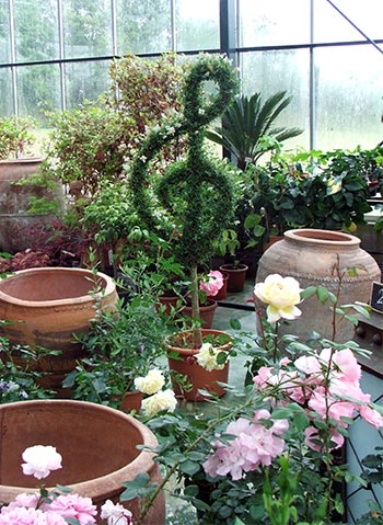  Like pots, or topiary, as displayed in this Brussels nursery. 