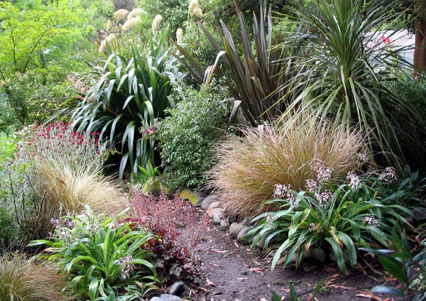 Native Plant Garden