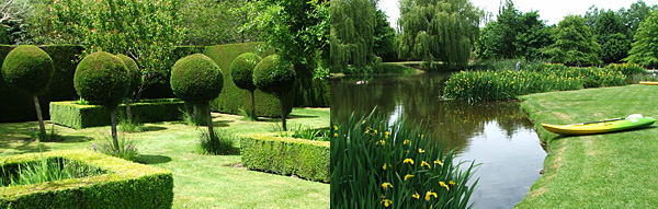  Ponds and box ball trees. 