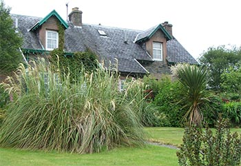  Cortaderia and the compulsory Cordyline. 