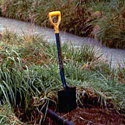  This spade has single-handedly dug all the borders in my garden. 