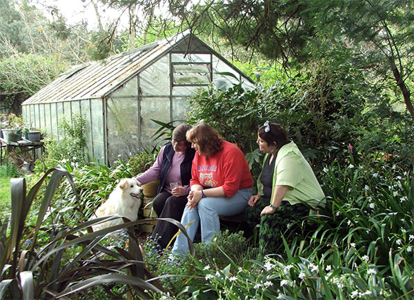  The visitors were accompanied throughout by Rusty the red border collie. 