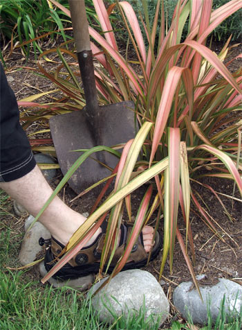  Note the finely spread compost! 