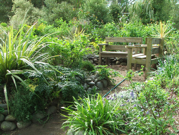  The courtyard in the shrubbery. 