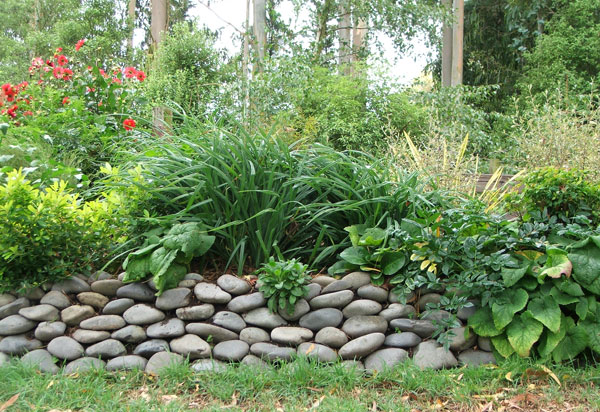  Overflowing with beautiful foliage. 