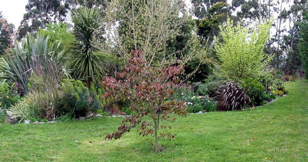  The Dog-Path Garden is in the foreground. 