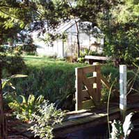 Rooster bridge has its resident fern to one side. 