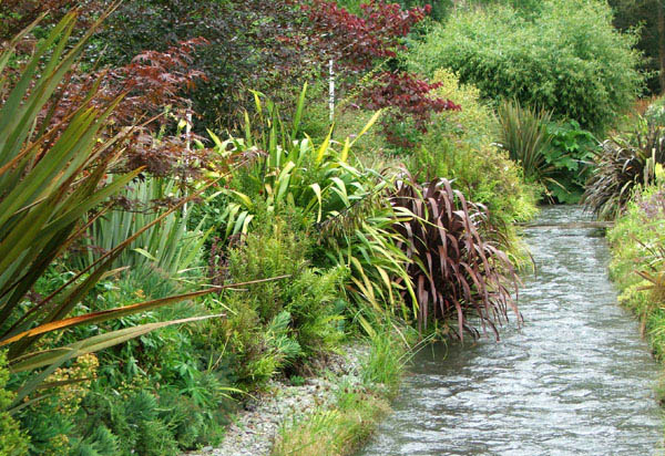  The water race with random plantings. 