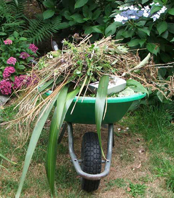  Hmm... A wheelbarrow full of garden details... 