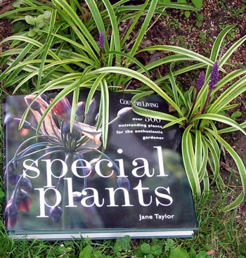 Gardening Books on Photographed With A Special Moosey Plant