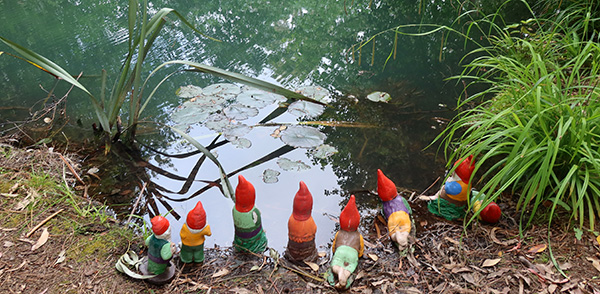  By the water lilies. 