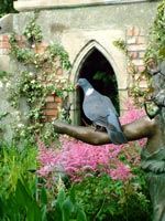 pigeon-on-statue