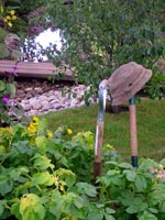 vegetable-garden-tools