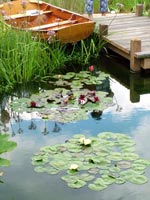 water-garden-pond-boat-jetty
