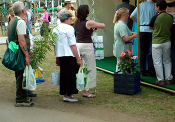  Gardeners queueing for the plant creche 