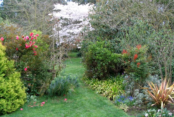 Garden Through Window