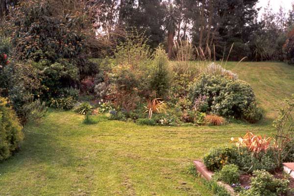  This picture of the island garden beds and lawn was taken in spring 