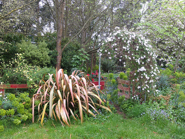  A spring photograph. 