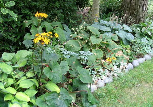  Even by mid-summer this garden area is still looking good. 