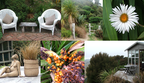  Cordylines, Astelia berries, Celmisia Daisies, and cute cane chairs... 