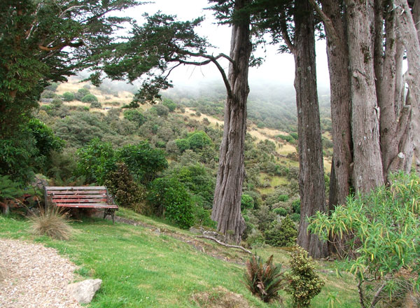  The bush on the far hillside is regenerating well. 