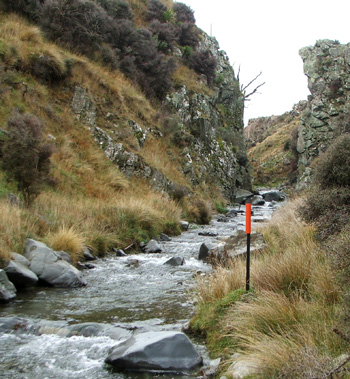  One of the tiny canyons. 