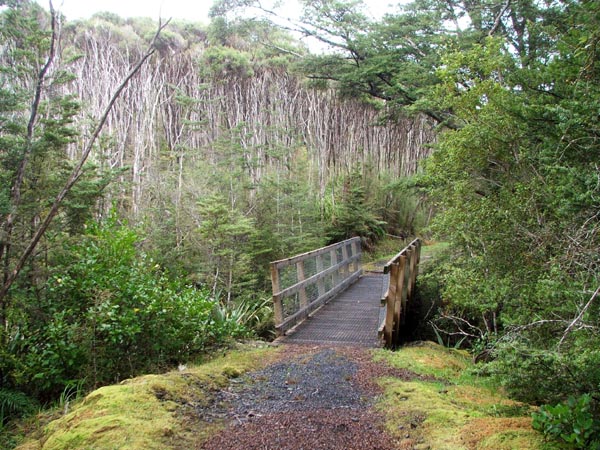  A bridge near the beginning of the track. 