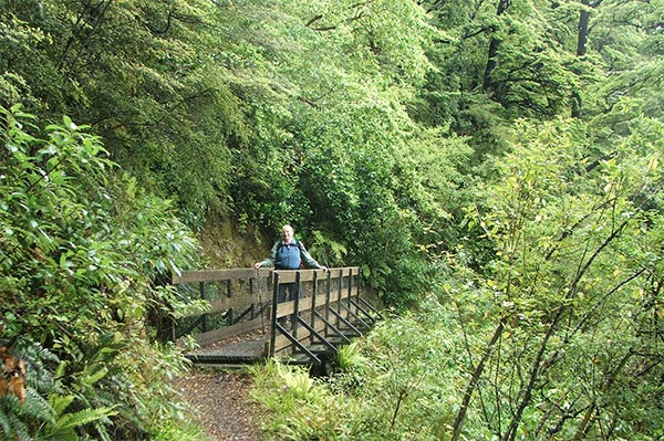  Surrounded by  green. 