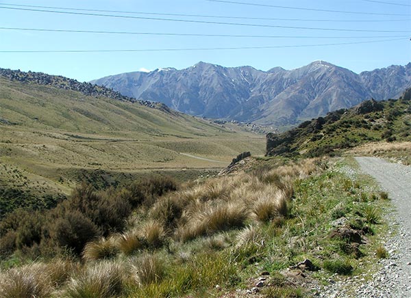  Access road, with the Torlesse range in the background. 