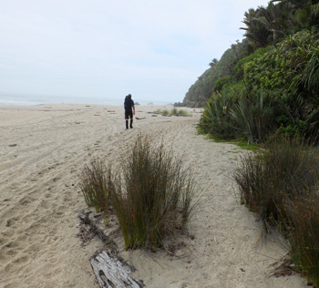  On the beach. 