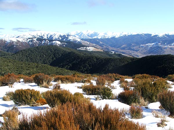  Views of the Southern Alps. 