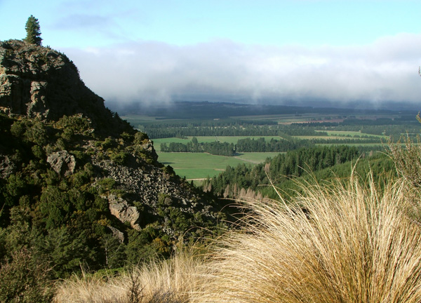  From the beginning of the tussock. 