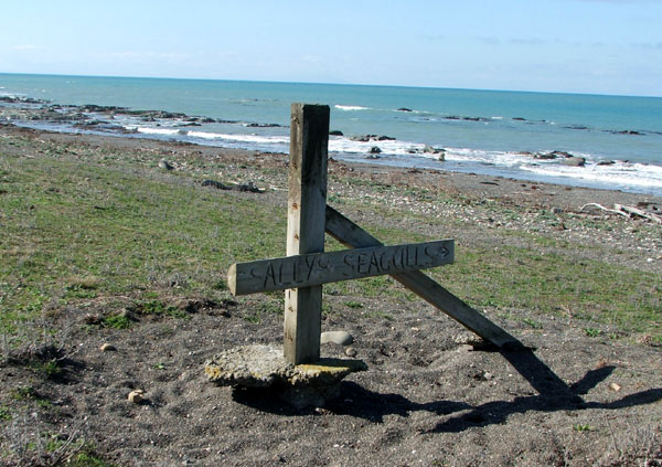  Check out the sign on the beach! 