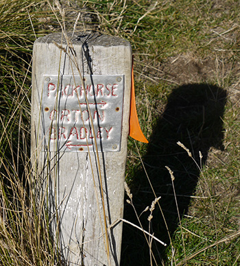  Near the Packhorse Hut 