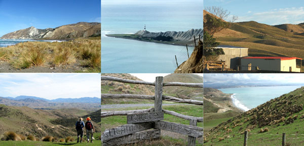  Different views of the Vape Campbell Walkway. 