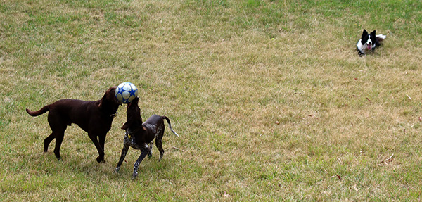  Escher, Frida and Winnie 